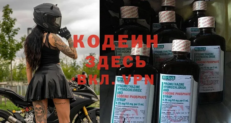 блэк спрут ссылка  Южноуральск  Кодеин Purple Drank  где купить наркоту 